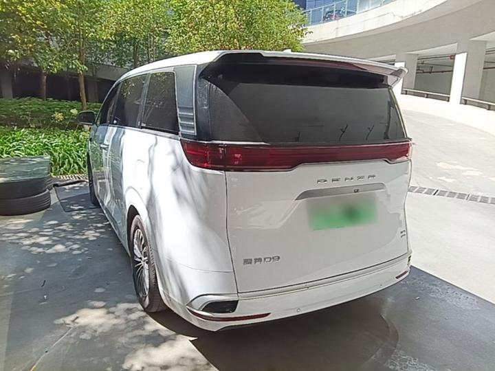 D9 2025 DM-i ADAS 1100 Luxury photo 4