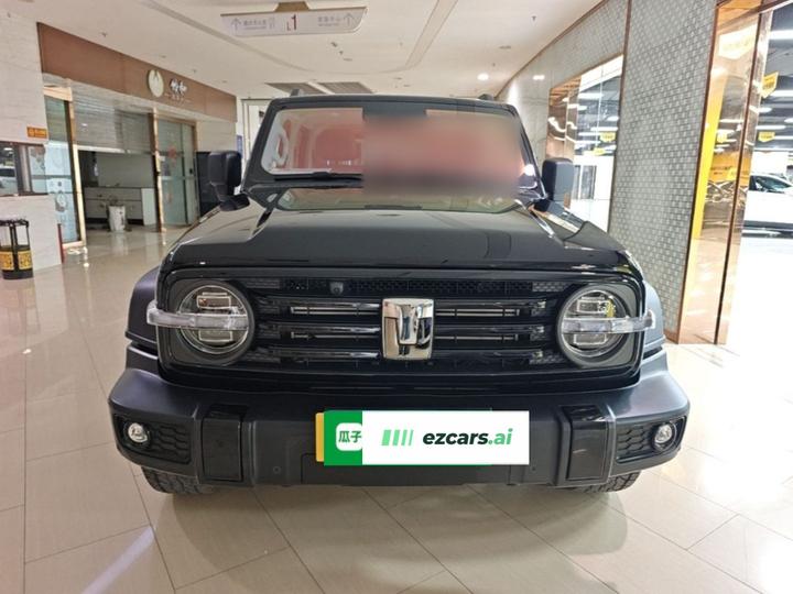 300 2025 2.0T Petrol Conqueror photo 2