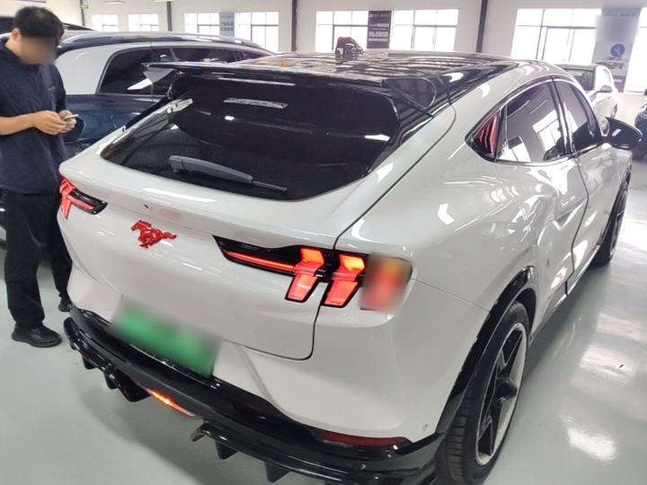 2021 RWD Luxury Long Range photo 4