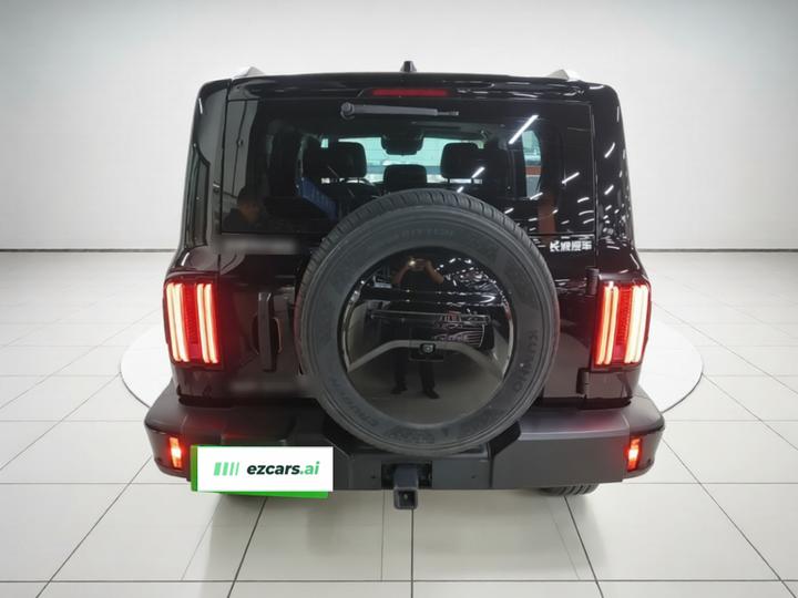300 2024 2.0T Conqueror photo 5