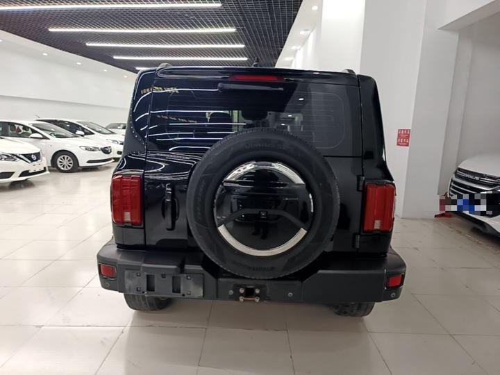300 2021 Off-road 2.0T photo 5