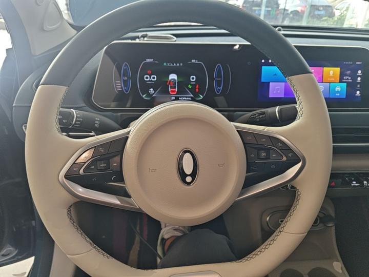 Good Cat 2023 401km Standard Range Luxury NCM photo 5