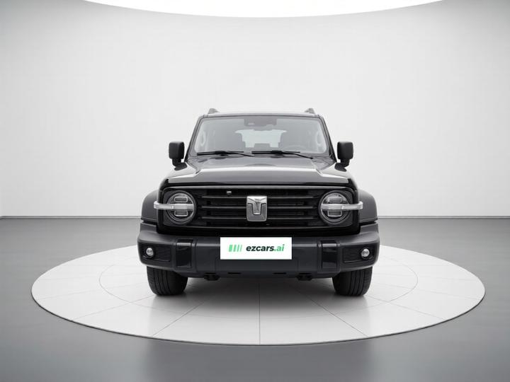 300 2025 2.0T Petrol Conqueror photo 2