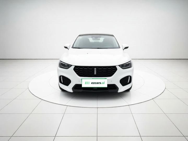 VV5 2017 2.0T Flagship photo 2
