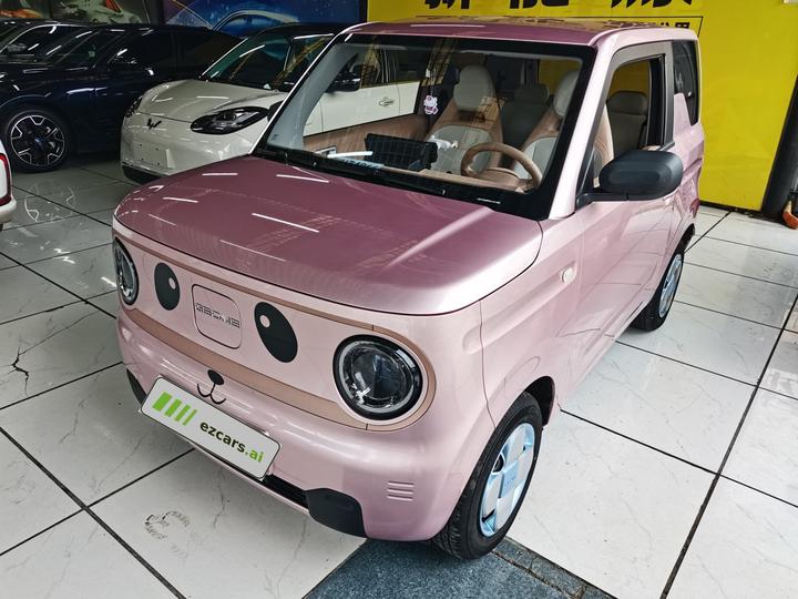 2024 Panda mini 200km PRO