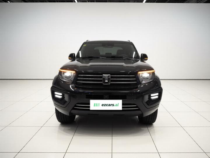 700 EV 2024 Hi4-T photo 2