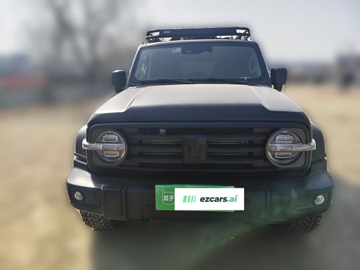 300 2023 Off-road 2.0T Conqueror photo 2