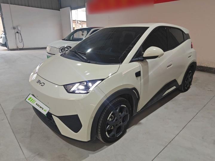 Seagull 2025 ADAS 305km