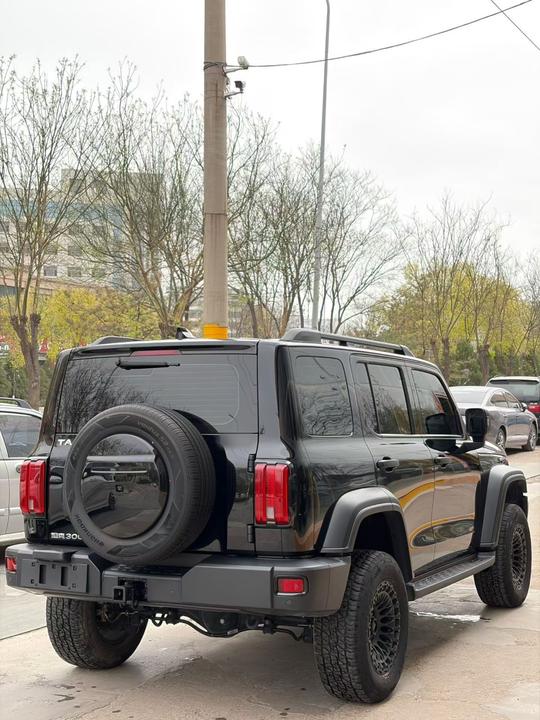 300 2023 Off-road 2.0T Conqueror photo 4