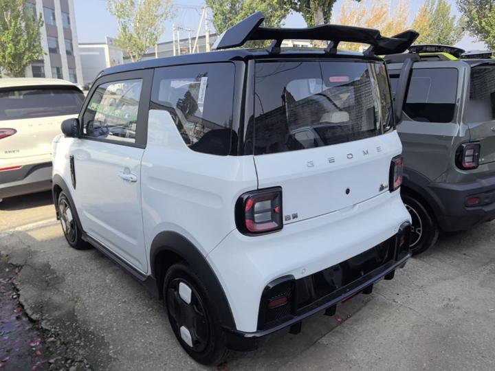 2025 210km Panda photo 4