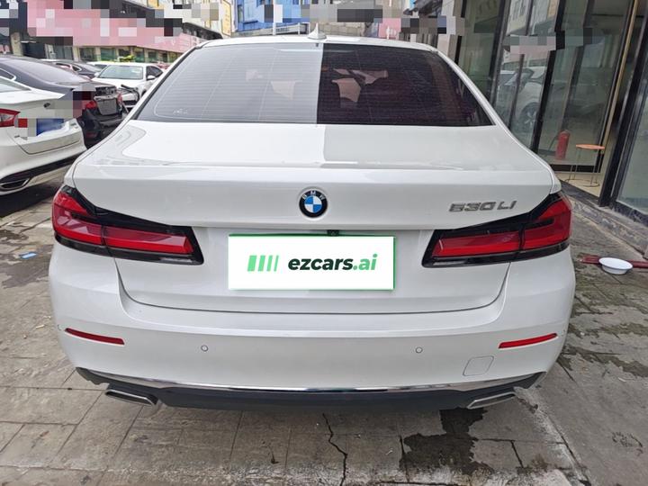 5 Series 2021 Facelift 530Li Leading Luxury photo 5