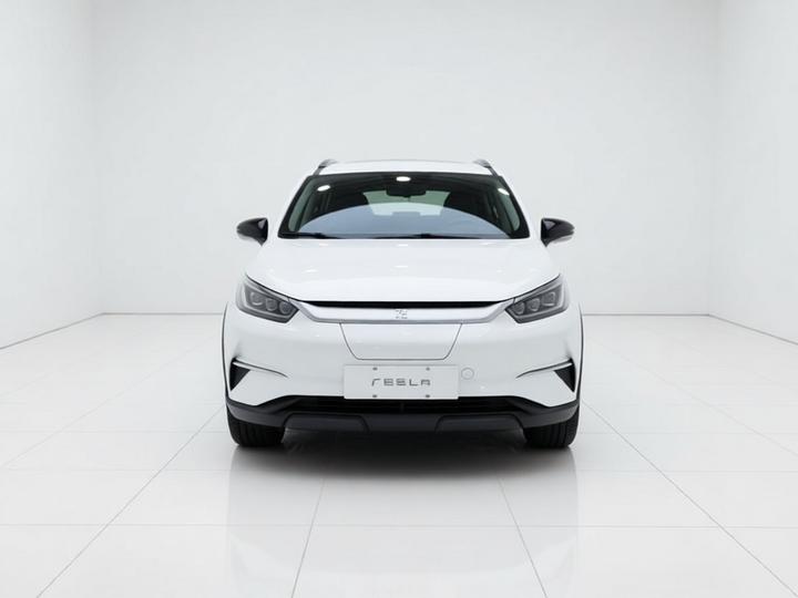 Yuan Pro 2021 401KM Luxury photo 2