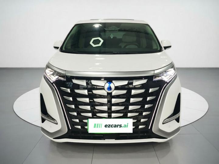 D9 2024 DM-i 980 AWD Noble photo 2