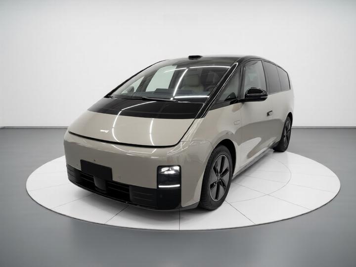 Li MEGA 2025 Home Family Special