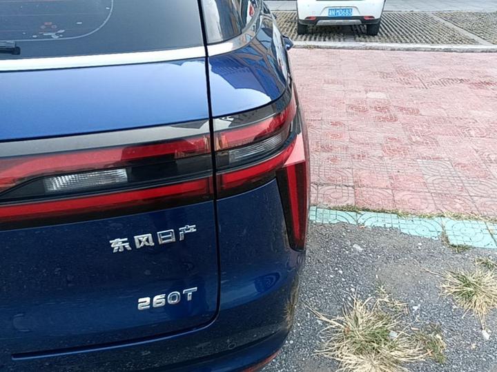 2021 260T AT 48V Mild Hybrid photo 7