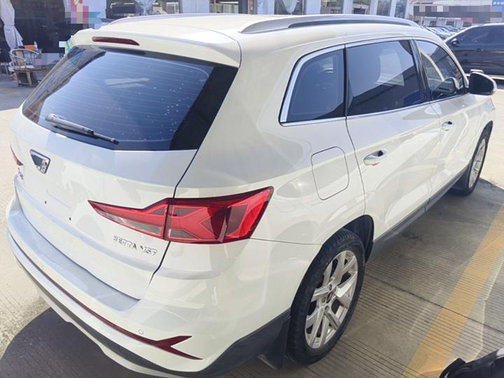 VS7 2022 280TSI AT Progressive photo 4