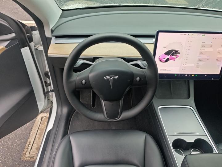 Model Y 2021 Long Range AWD 3D7 photo 2