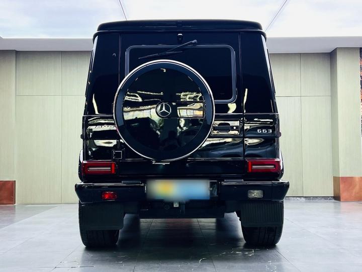 G-ClassAMG 2016 AMG G 63 photo 4