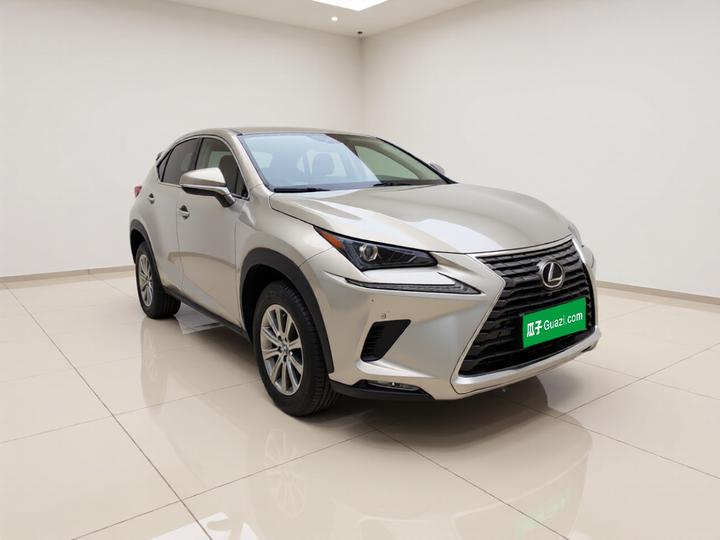 NX 2020 200 FWD China VI photo 3