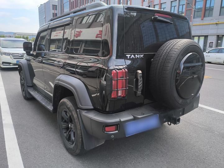 300 2023 Off-road 2.0T photo 4