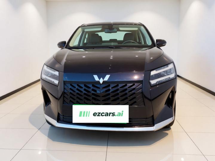 730 EV 2025 125km Luxury photo 2
