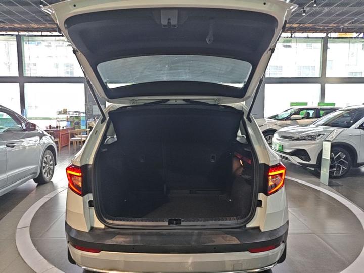 Karoq 2018 TSI280 Luxury China V photo 8