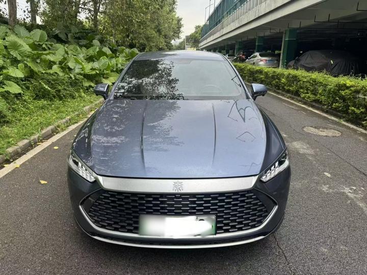 Qin PLUS 2024 Honor DM-i 55KM Leading photo 2
