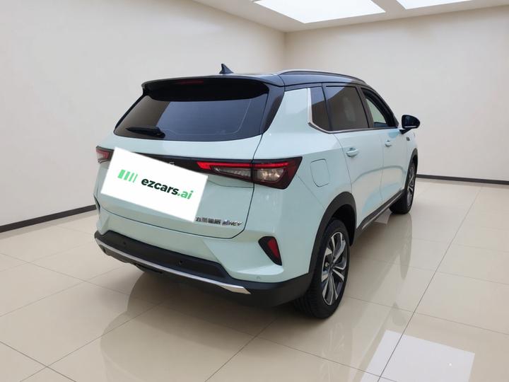 Wuling 2022 2.0L DHT photo 6
