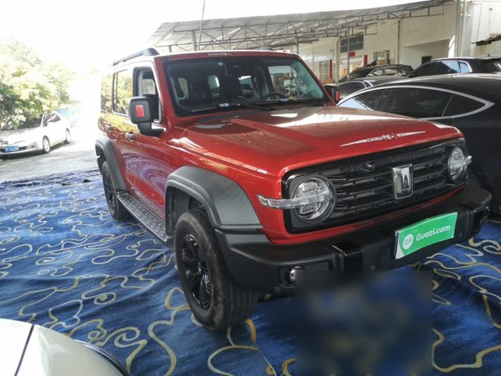 300 2021 Off-road 2.0T Conqueror photo 3