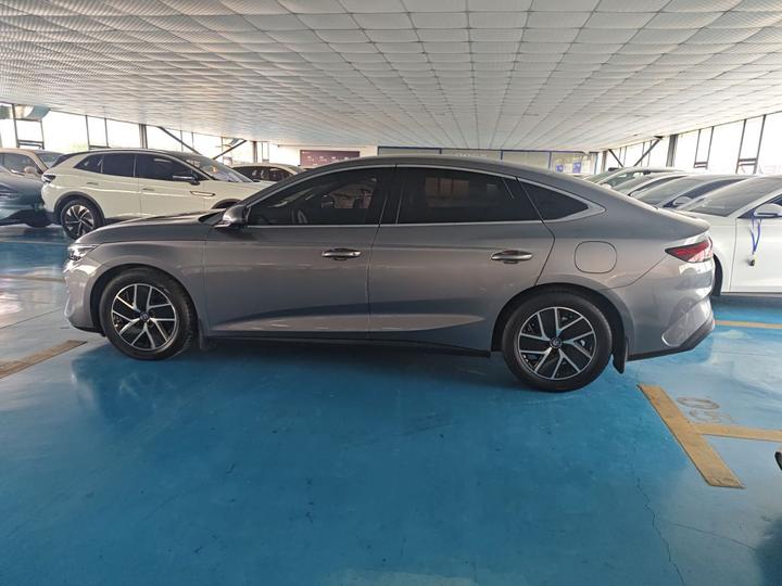 Qin L 2024 DM-i 80KM photo 6