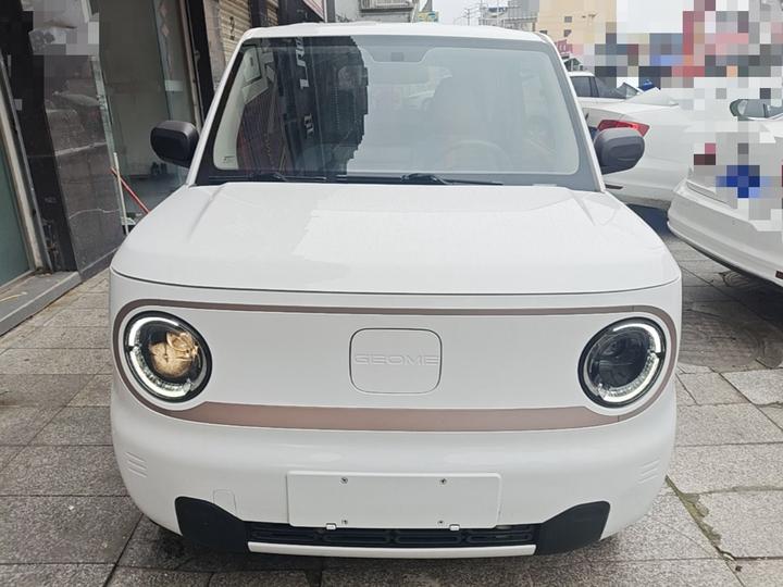 2023 Panda mini 200km Endurance Bear photo 2