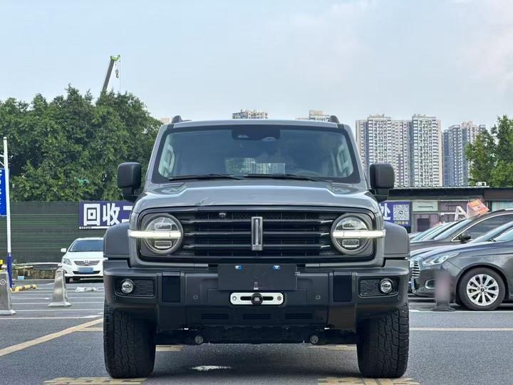 300 2021 Off-road 2.0T photo 2