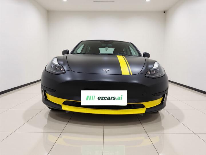 Model 3 2022 RWD photo 2