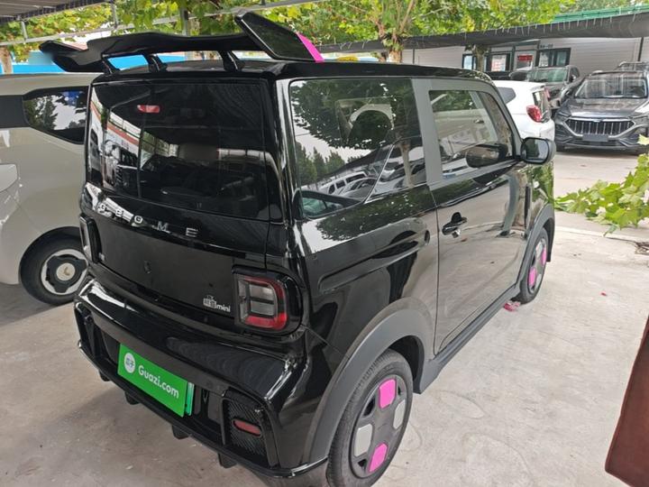 2025 210km Panda photo 4