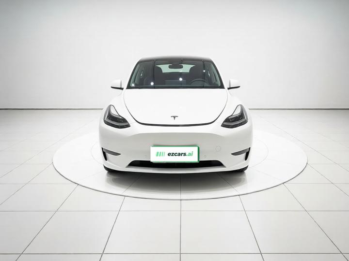 Model Y 2021 Long Range AWD photo 2