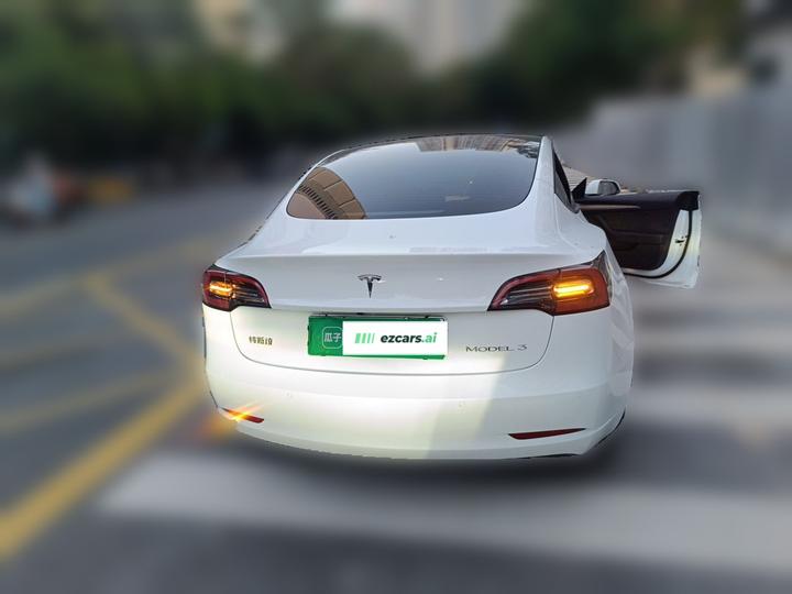 Model 3 2022 RWD photo 5