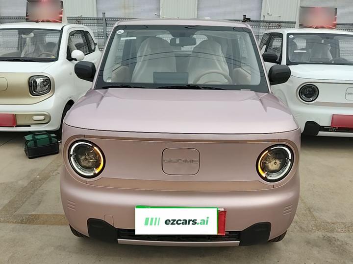 2024 Panda mini 200km Endurance Bear photo 2