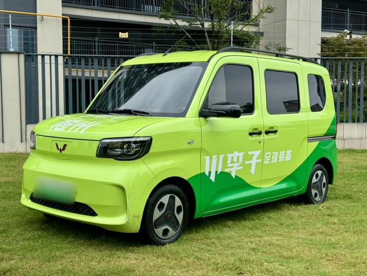Wuling Zhiguang EV 2025 201km Comfort