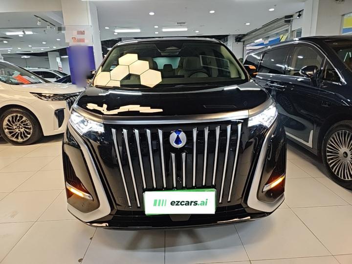D9 2024 EV 600 AWD Premium photo 2