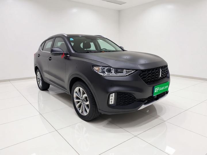 VV6 2018 2.0T RWD Flagship China V photo 3