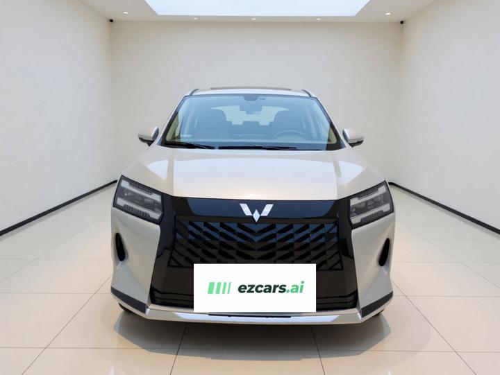 730 EV 2025 125km Luxury photo 2