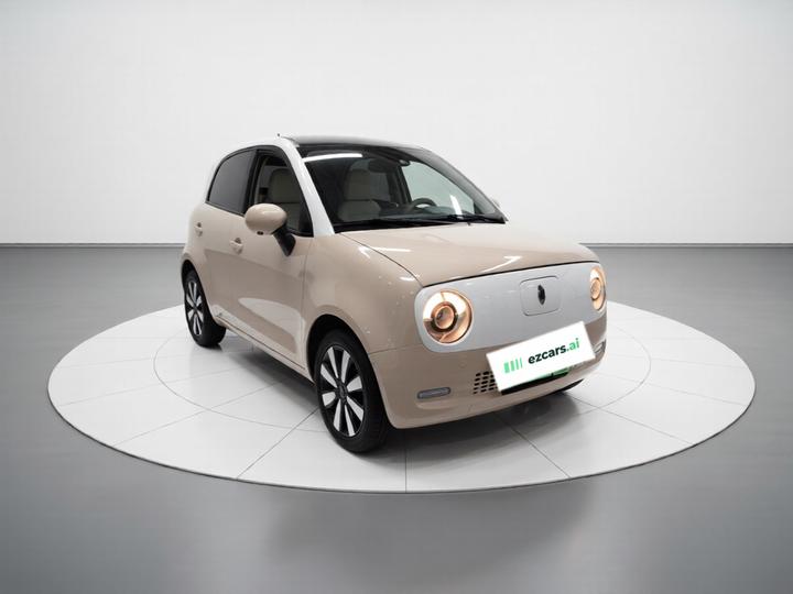 2021 351km Luxury photo 3