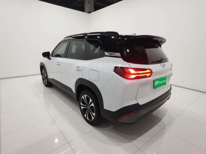 560 EV 2026 125km Luxury photo 4