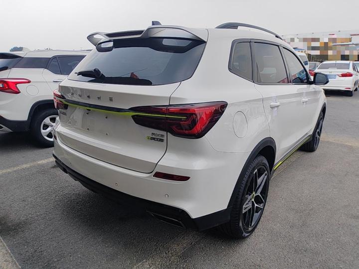 RX5 EV 2021 ePLUS Luxury photo 4