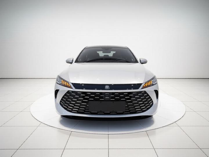Qin PLUS 2025 DM-i ADAS 128KM Progressive photo 2