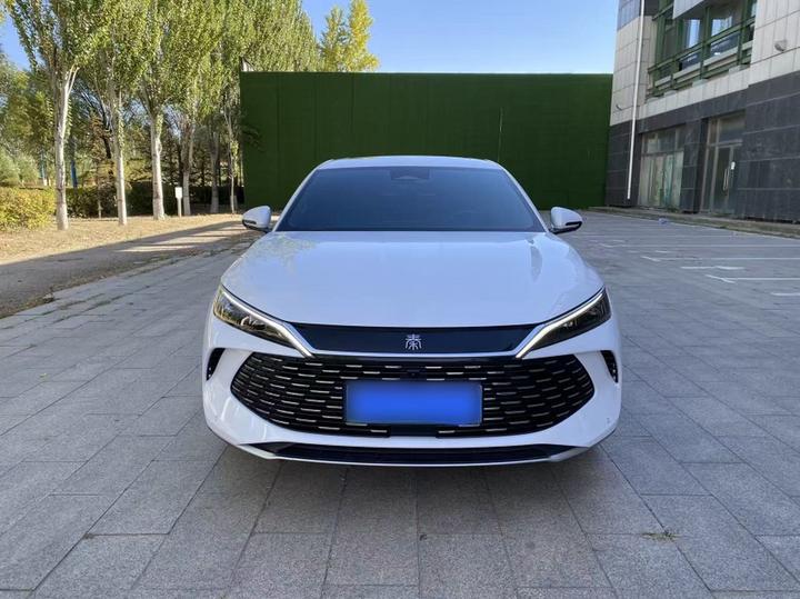 Qin L 2024 DM-i 120KM Excellence photo 2