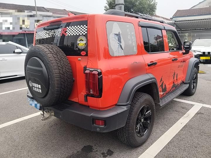 300 2021 Off-road 2.0T Conqueror photo 6