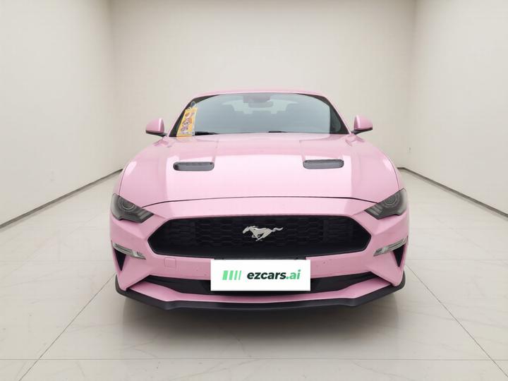 Mustang 2019 2.3L EcoBoost photo 2
