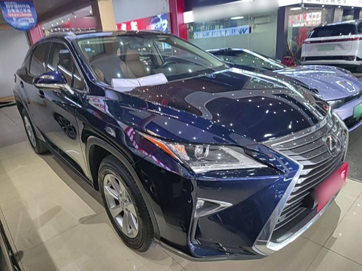 RX 2016 300 RWD Comfort China V photo 3