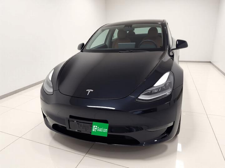 Model Y 2021 Long Range AWD photo 2